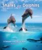 Sharks_and_dolphins