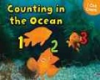 Counting_in_the_ocean