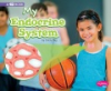 My_endocrine_system
