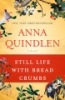 Still_life_with_bread_crumbs