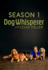 Dog_Whisperer_with_Cesar_Millan_-_Season_1