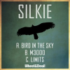 Bird_In_The_Sky