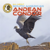 All_About_South_American_Andean_Condors