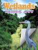 Wetlands_Inside_Out