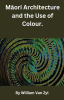 M__ori_Architecture_and_the_Use_of_Colour