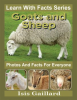 Goats_and_Sheep_Photos_and_Facts_for_Everyone