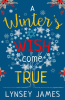 A_Winter_s_Wish_Come_True