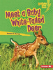 Meet_a_Baby_White-Tailed_Deer