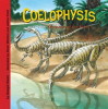 Coelophysis_and_Other_Dinosaurs_of_the_South