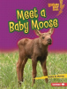 Meet_a_Baby_Moose