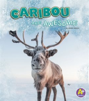 Caribou_Are_Awesome