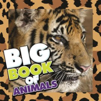 Big_Book_of_Animals