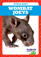 Wombat_joeys