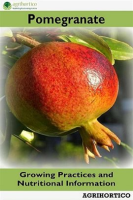 Pomegranate__Growing_Practices_and_Nutritional_Information