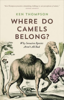Where_Do_Camels_Belong_