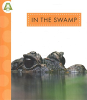 In_the_swamp