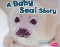 A_baby_seal_story