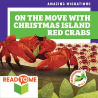 On_the_Move_With_Christmas_Island_Red_Crabs