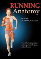 Running_anatomy