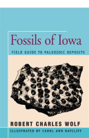 Fossils_of_Iowa