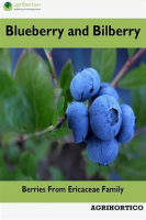 Blueberry_and_Bilberry__Berries_From_Ericaceae_Family