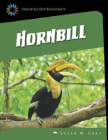 Great_Hornbill