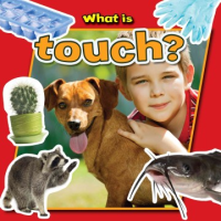 What_is_touch_