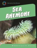 Sea_anemone