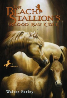 The_Black_Stallion_s_blood_bay_colt