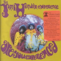Are_you_experienced_