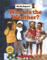 What_is_the_weather_