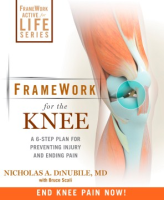 Framework_for_the_knee