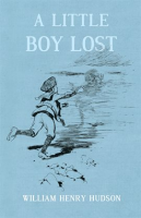 A_Little_Boy_Lost