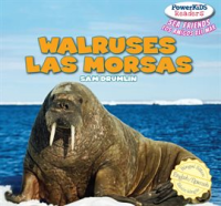 Walruses___Las_morsas