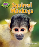 Squirrel_Monkeys