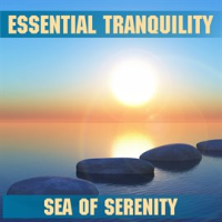 Tranquility_-_Sea_Of_Serenity