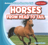 Horses_from_head_to_tail