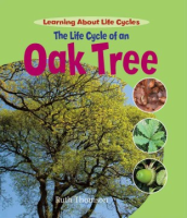 The_life_cycle_of_an_oak_tree