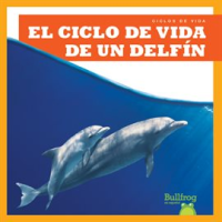 El_ciclo_de_vida_de_un_delf__n__A_Dolphin_s_Life_Cycle_