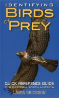 Identifying_Birds_of_Prey