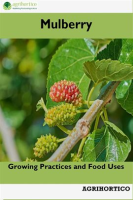 Mulberry__Growing_Practices_and_Food_Uses