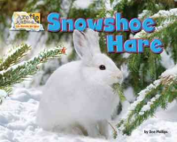 Snowshoe_hare