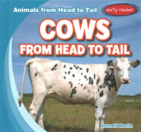 Cows_from_head_to_tail