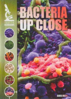 Bacteria_up_close