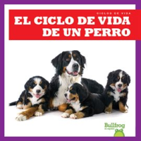 El_ciclo_de_vida_de_un_perro__A_Dog_s_Life_Cycle_