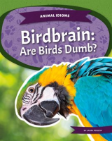 Birdbrain__Are_Birds_Dumb_