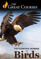 Scientific_Wonder_of_Birds