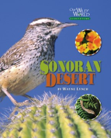 Sonoran_Desert