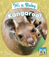 It_s_a_baby_kangaroo_