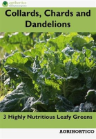 Collards__Chards_and_Dandelions__3_Highly_Nutritious_Leafy_Greens